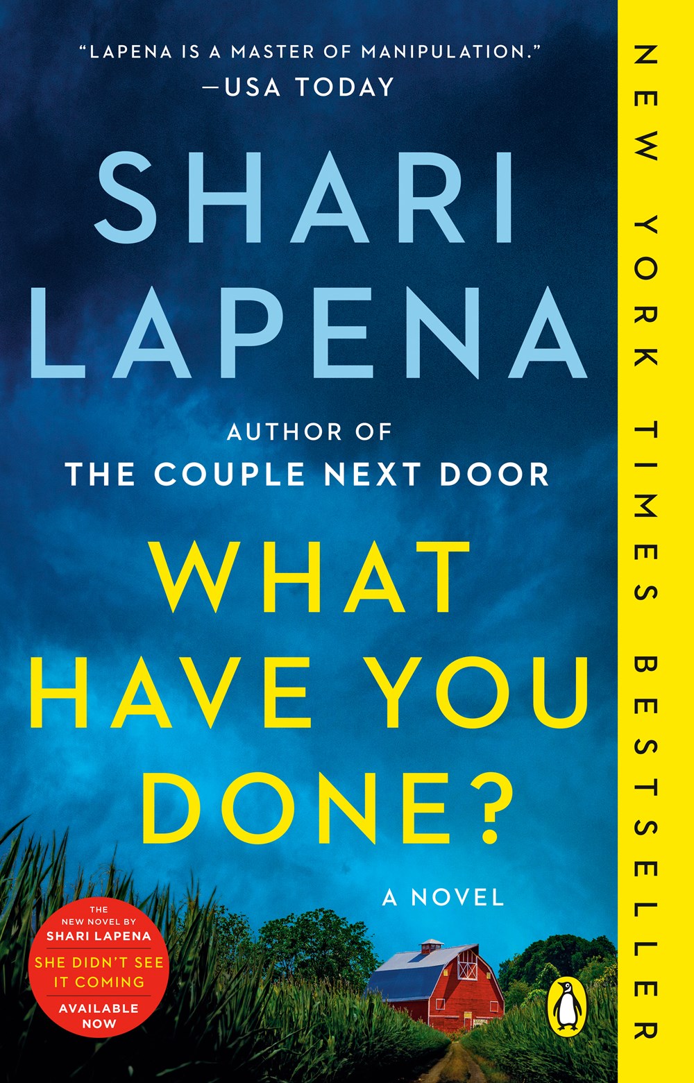 What Have You Done? by Shari Lapena