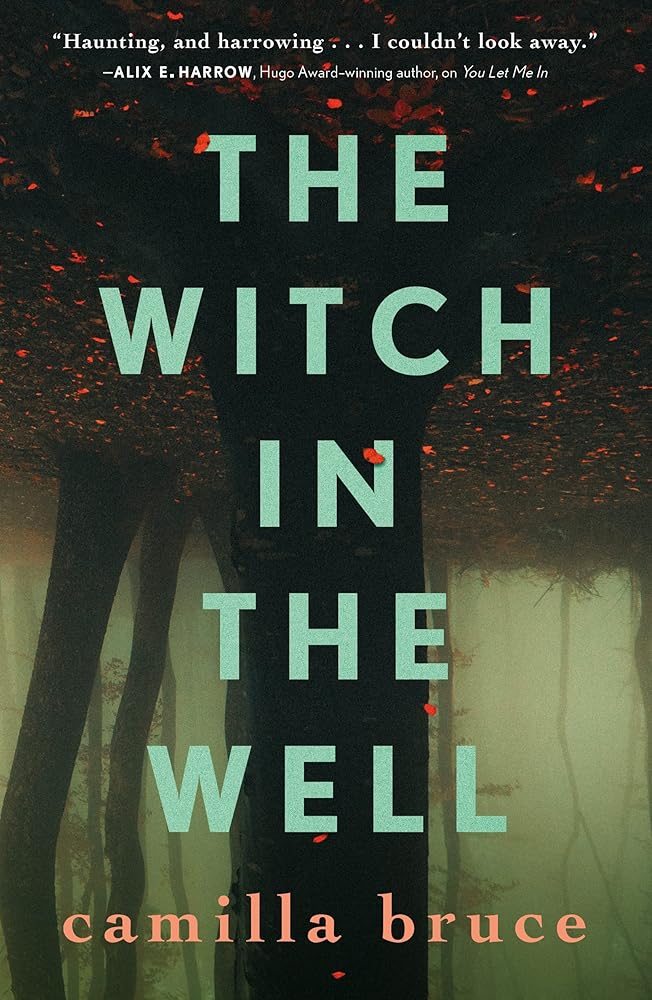 Witch In The Well cover image