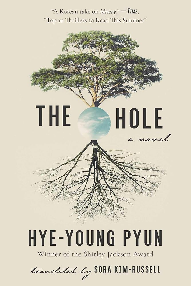 The Hole: A Novel cover image