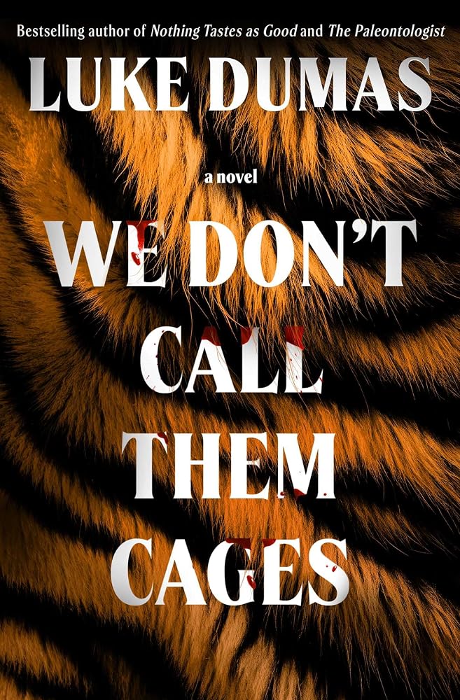 We Don't Call Them Cages: A Novel cover image