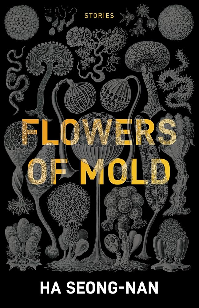 Flowers of Mold & Other Stories cover image