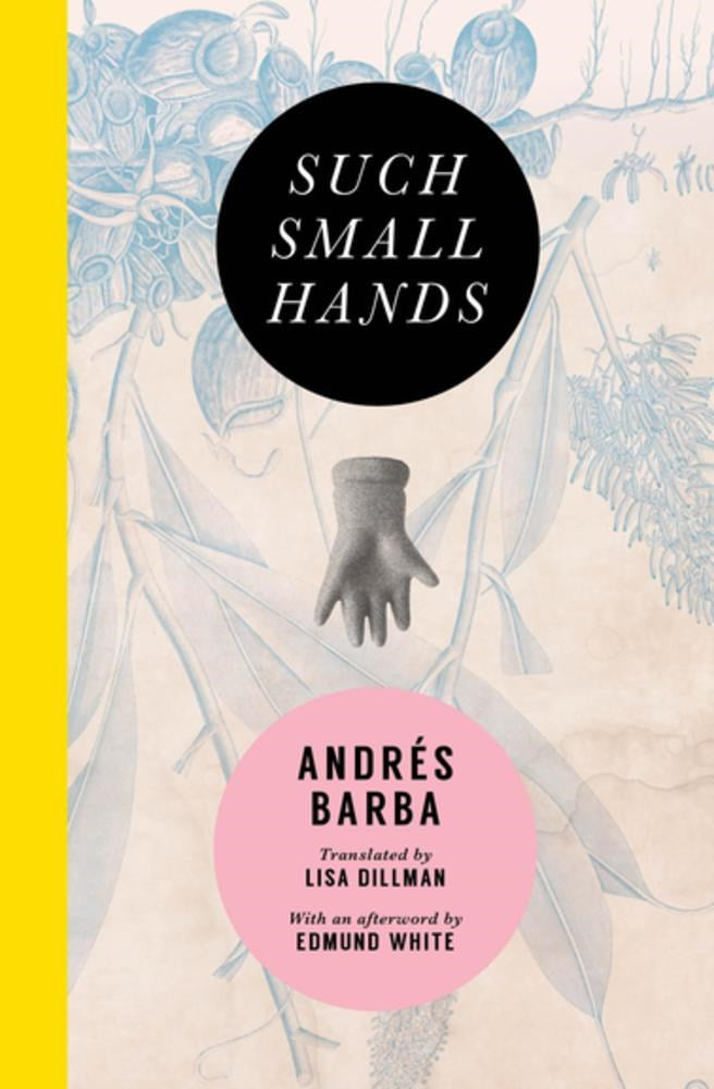 Such Small Hands - Andres Barba