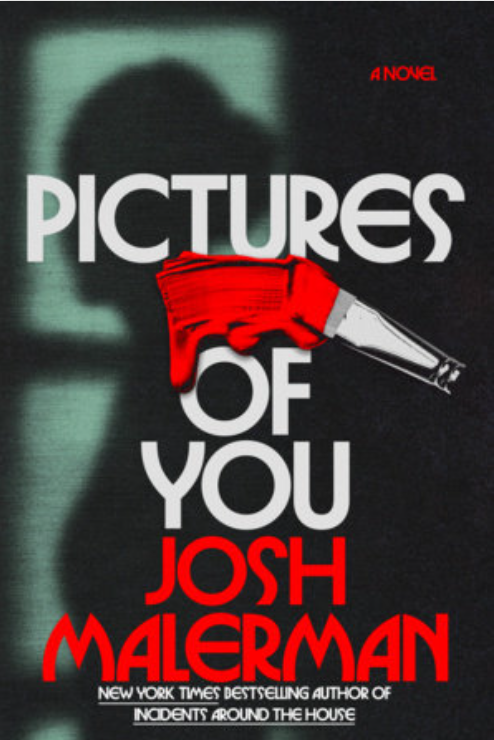 Pictures of You: A Novel by Josh Malerman