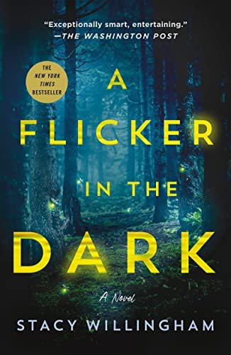 A Flicker in the Dark - Stacy Willingham