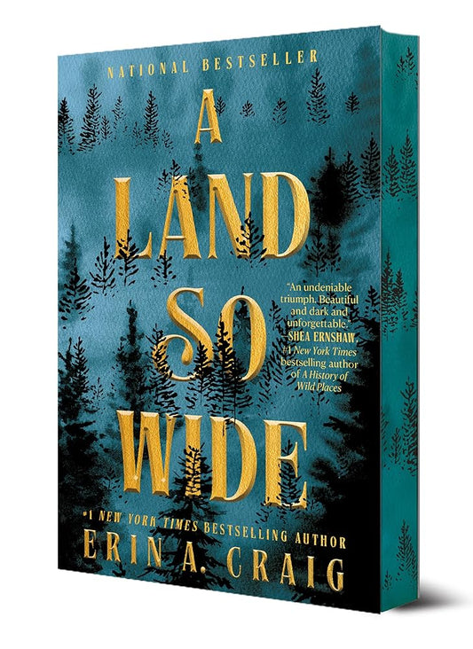 A Land So Wide: A Novel cover image