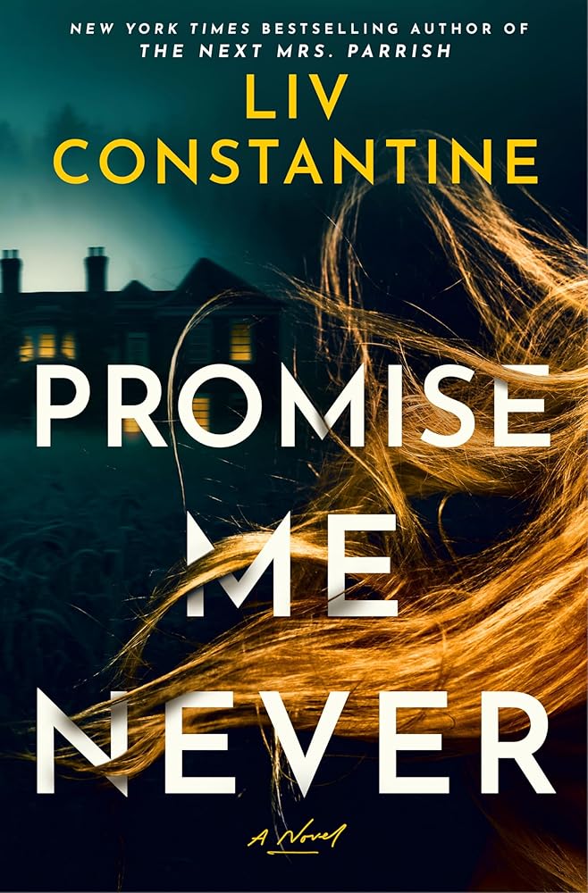 Promise Me Never: A Novel cover image
