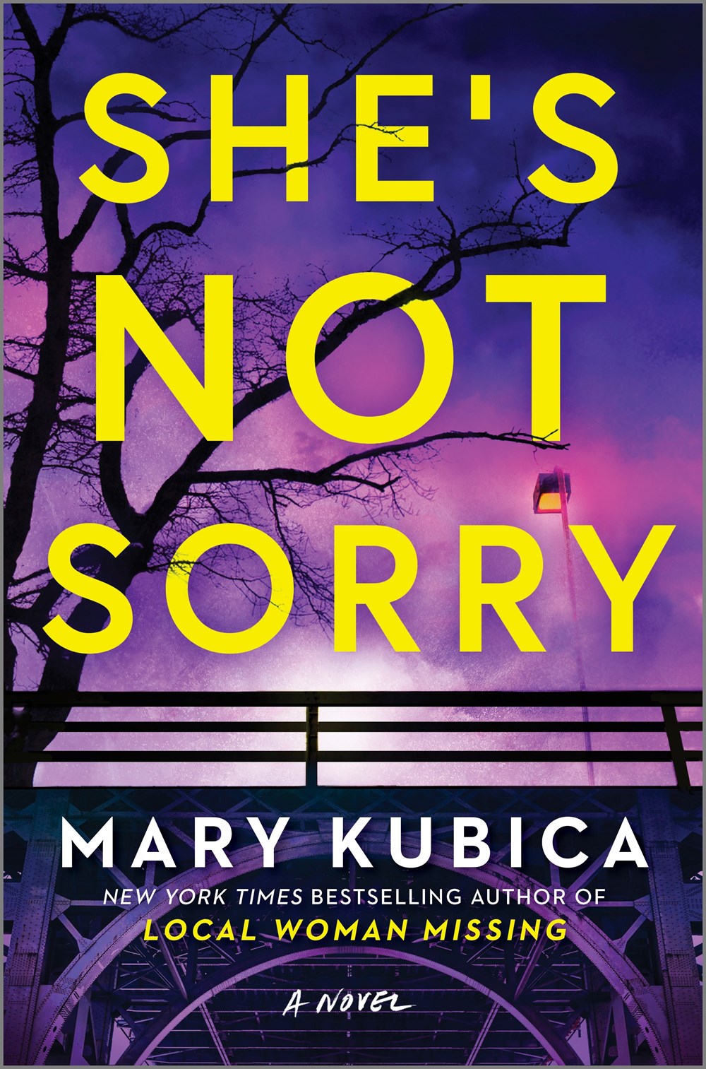 She's Not Sorry - Mary Kubica