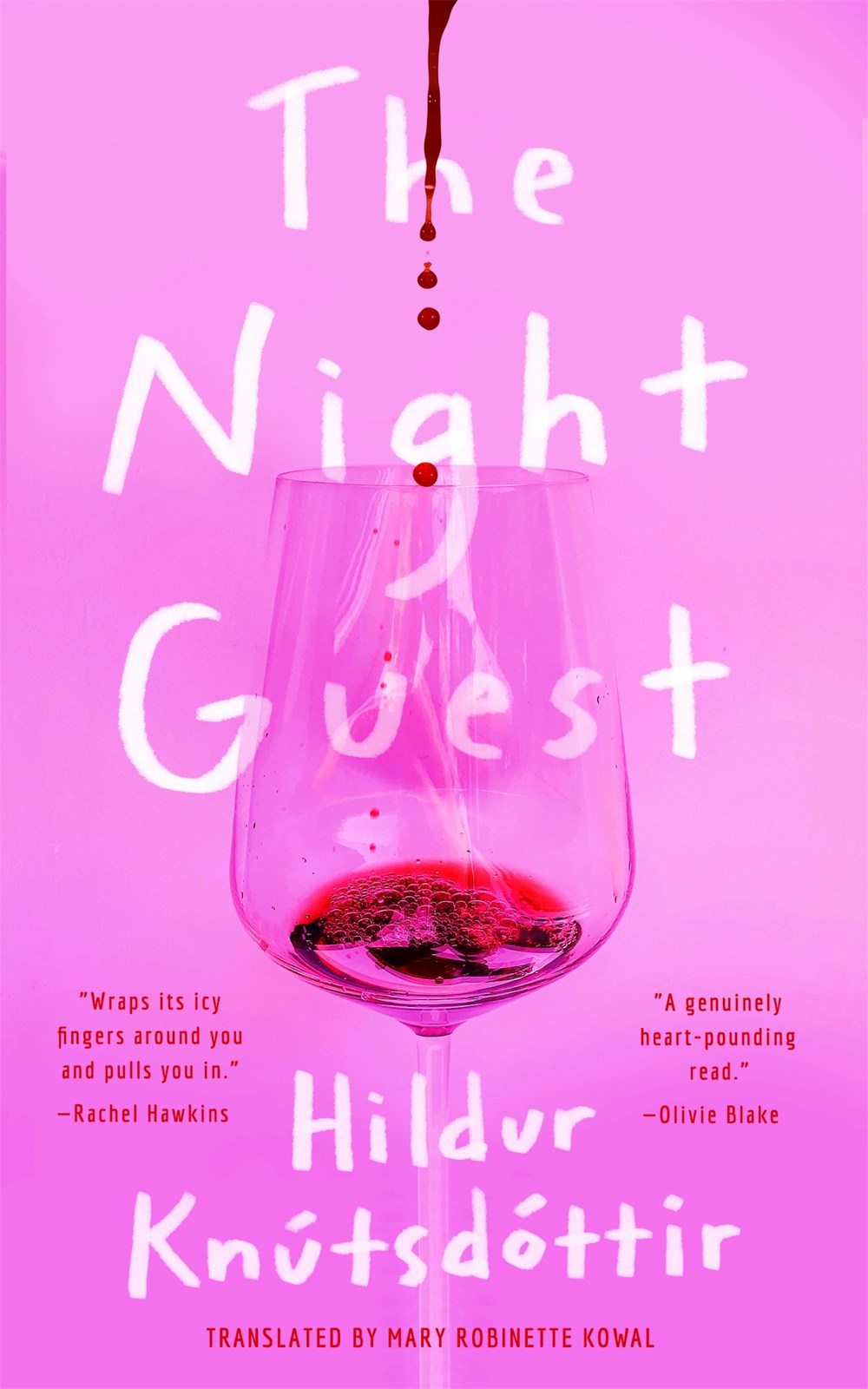 The Night Guest - Hildur Knutsodottir