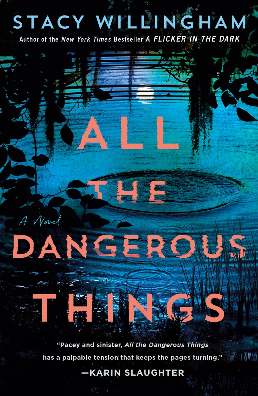 All the Dangerous Things - Stacy Willingham