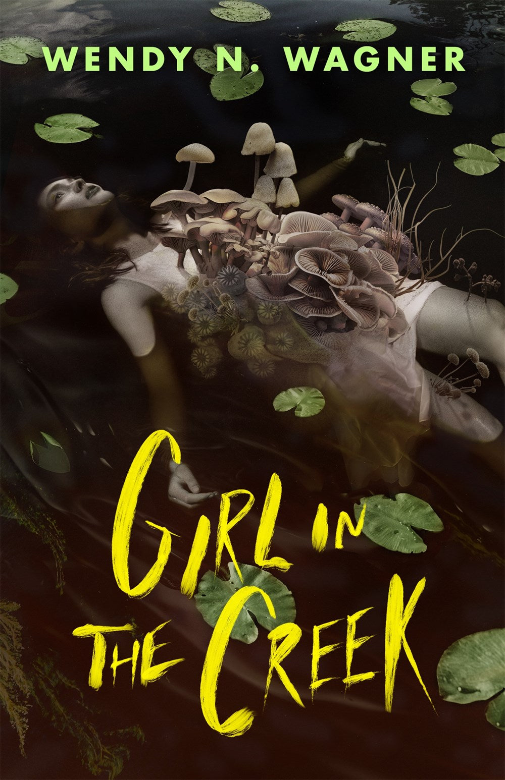 Girl in the Creek - Wendy N. Wagner