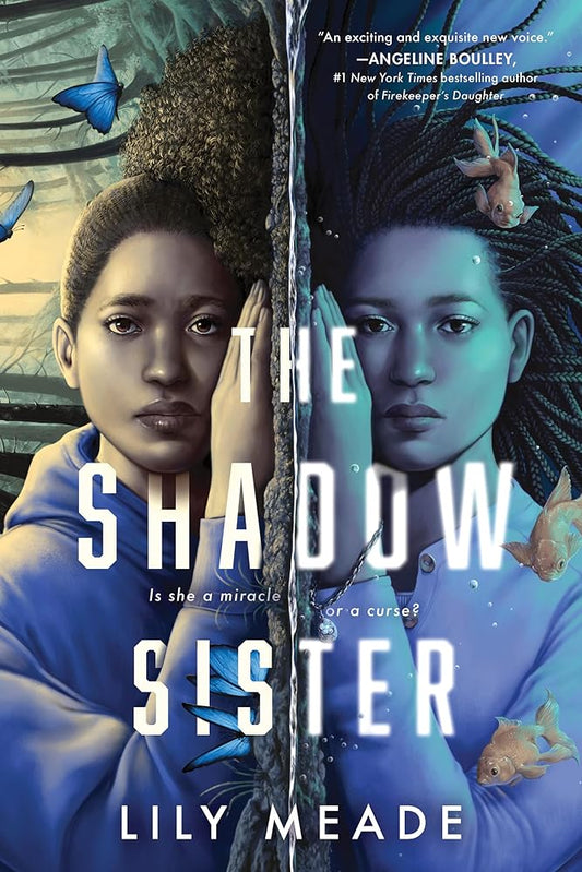 The Shadow Sister cover image