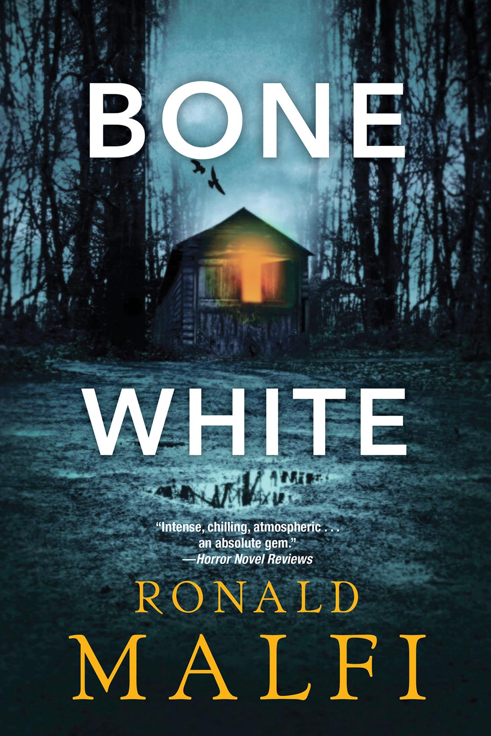 Bone White - Ronald Malfi – Death By TBR Books