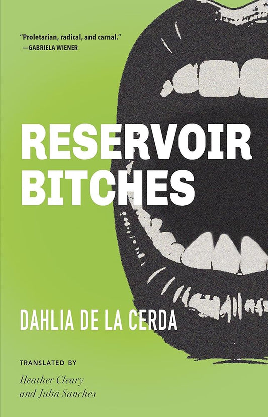 Reservoir Bitches: Stories cover image