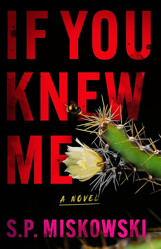 If You Knew Me: A Novel cover image