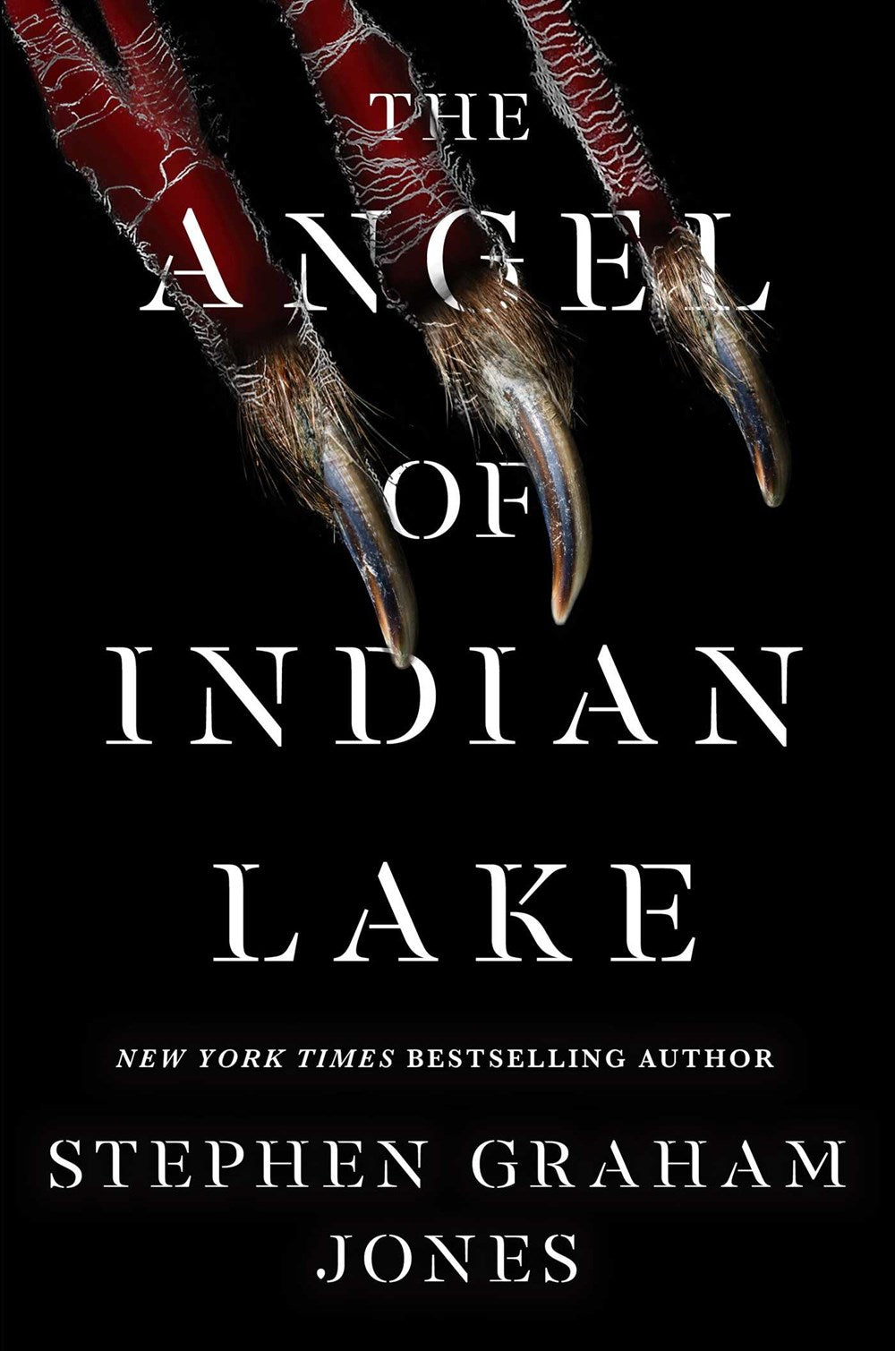 The Angel of Indian Lake - Stephen Graham Jones