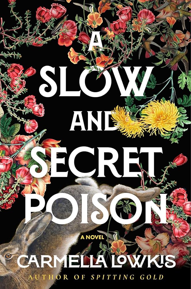 A Slow and Secret Poison: A Novel cover image