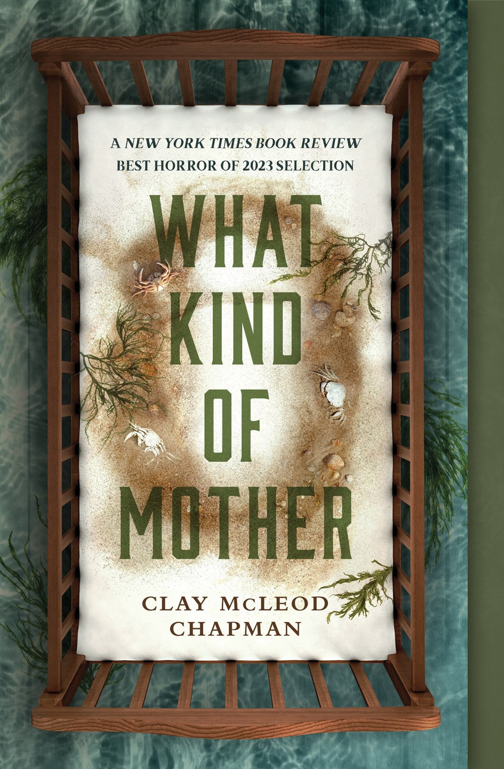 What Kind of Mother - Clay McLeod Chapman