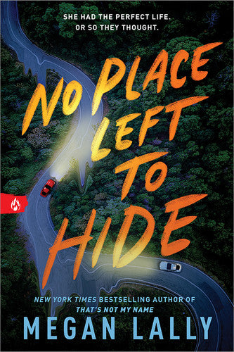 No Place Left to Hide - Megan Lally