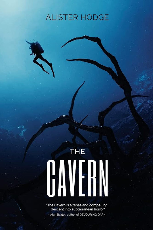 The Cavern cover image