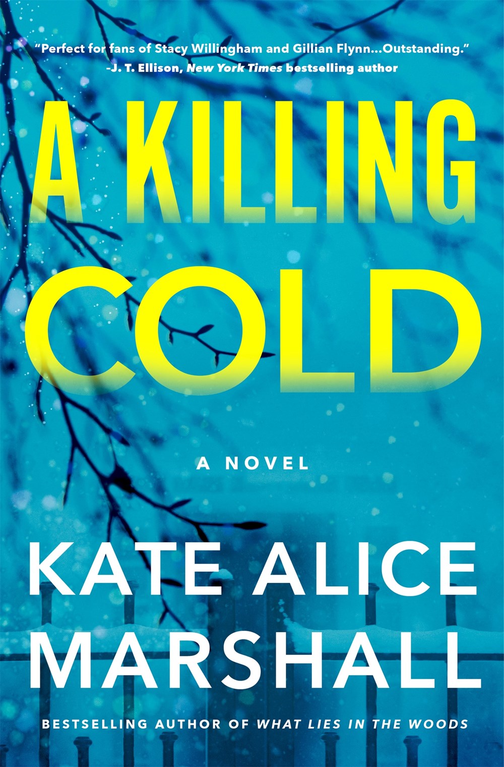 A Killing Cold - Kate Alice Marshall