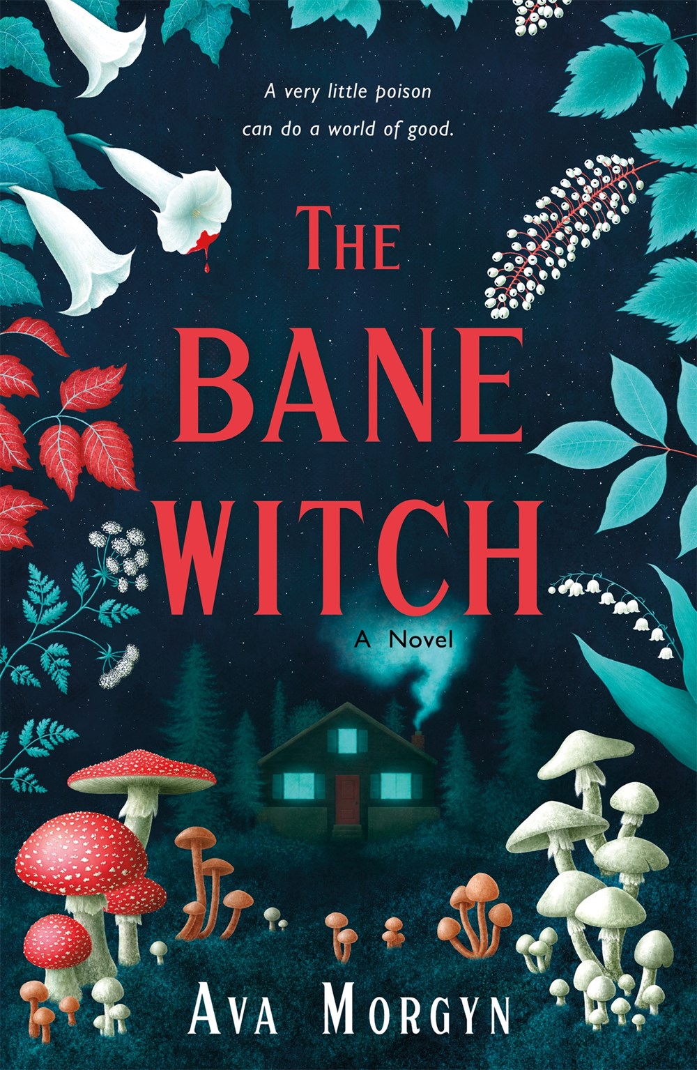 The Bane Witch - Ava Morgyn