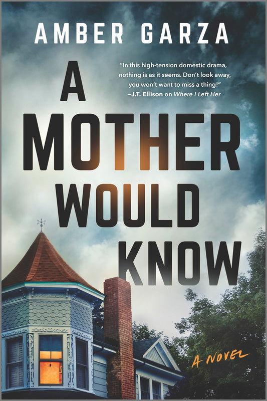 A Mother Would Know - Amber Garza