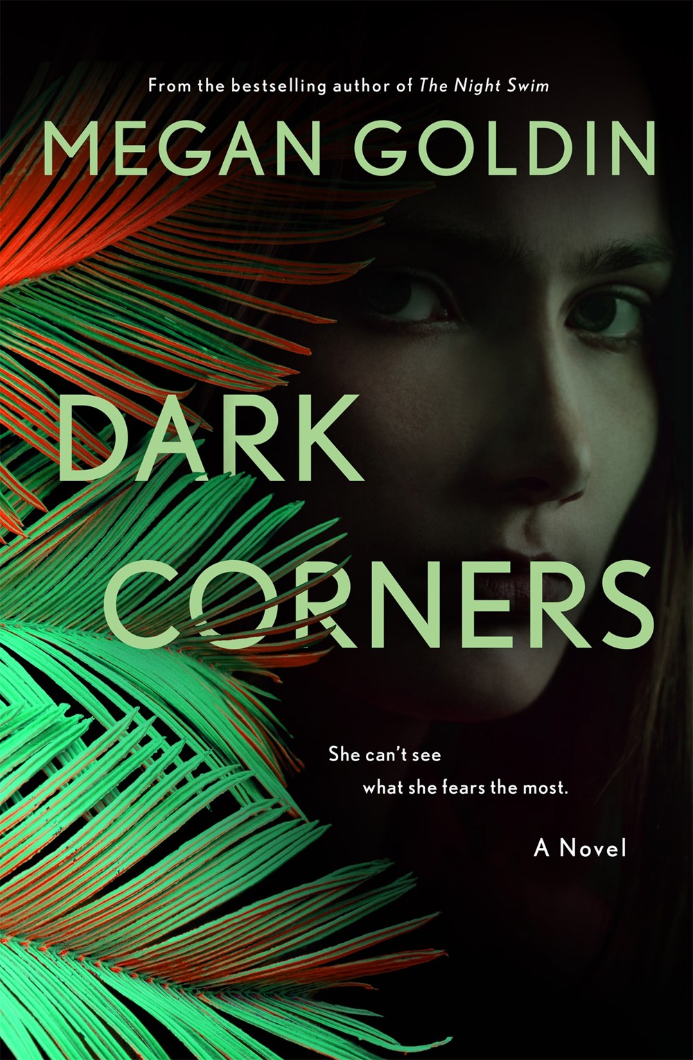 Dark Corners - Megan Goldin