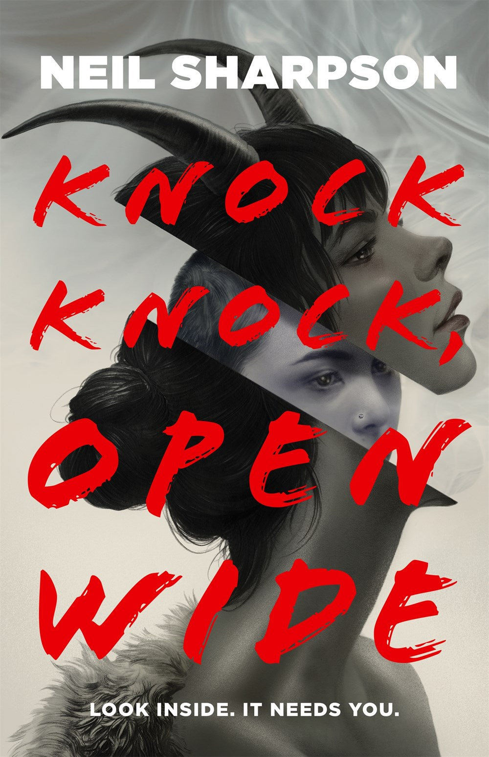 Knock Knock Open Wide - Neil Sharpson