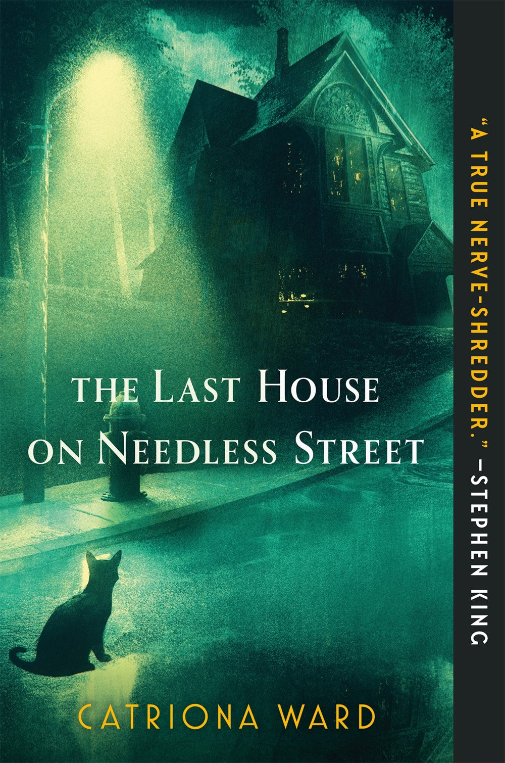 The Last House on Needless Street - Catriona Ward