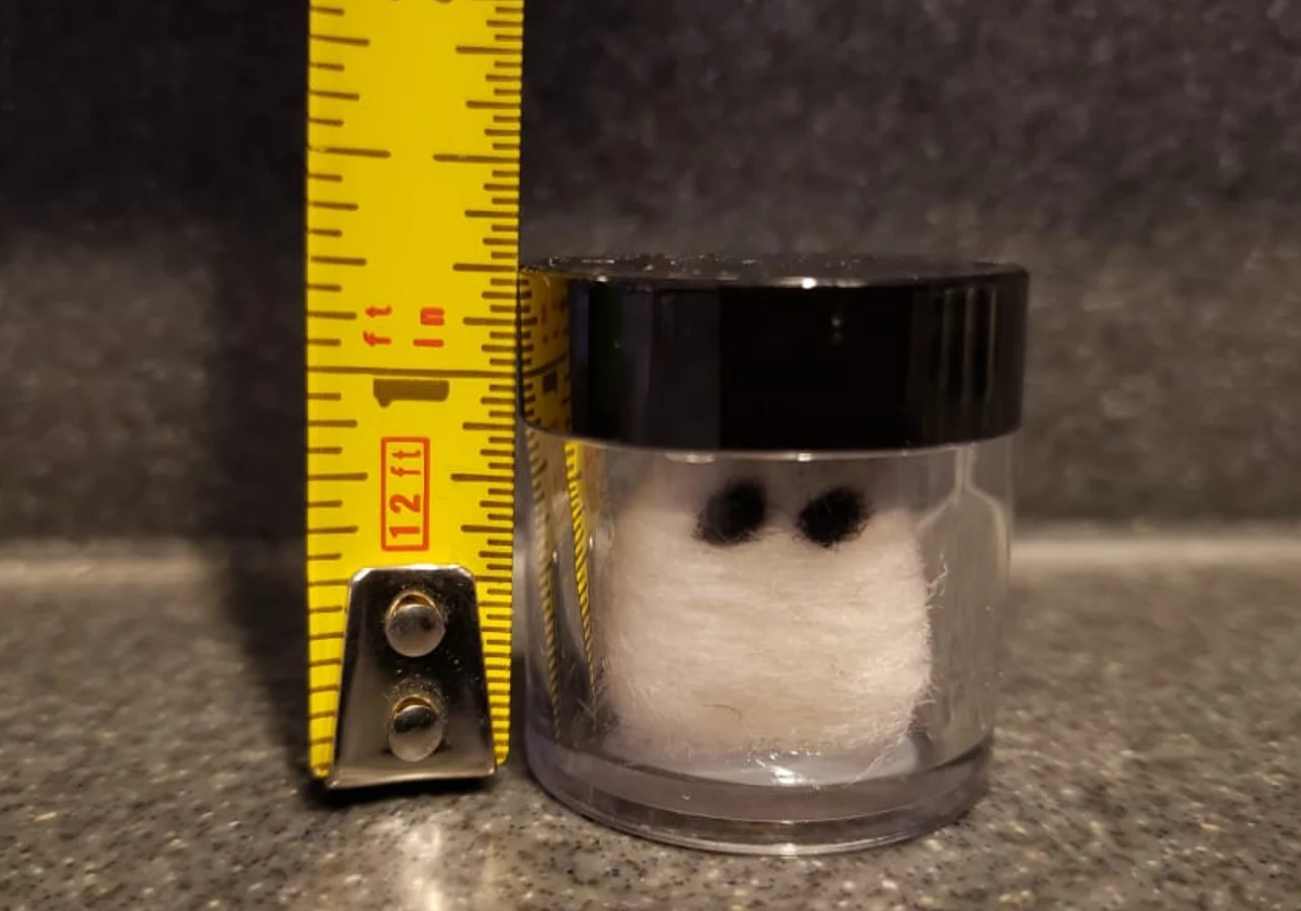 Adopt a Tiny Ghost in a Jar